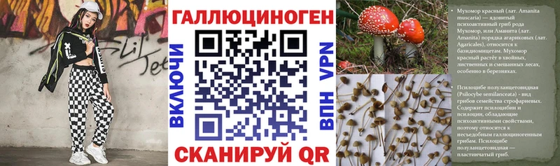 Галлюциногенные грибы Psilocybine cubensis  хочу наркоту  Кукмор 
